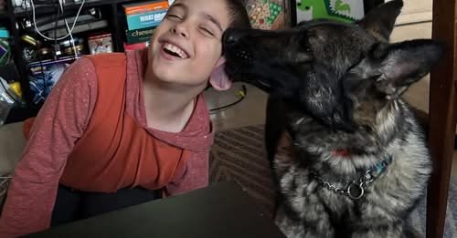 In Loving Memory of Archer Lowe – A Little Light Gone Too Soon