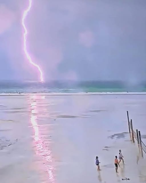 That image — people playing volleyball on Siesta Key Beach as lightning strikes nearby — is indeed both stunning and deeply concerning.