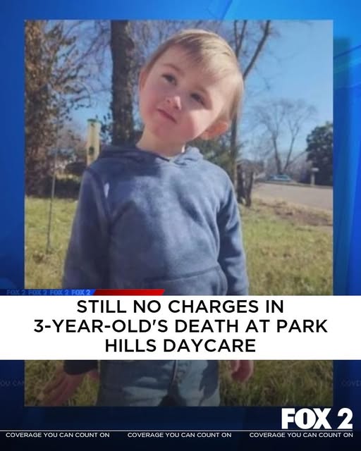 A Community Still Searching for Answers: Tragedy at a Park Hills Daycare