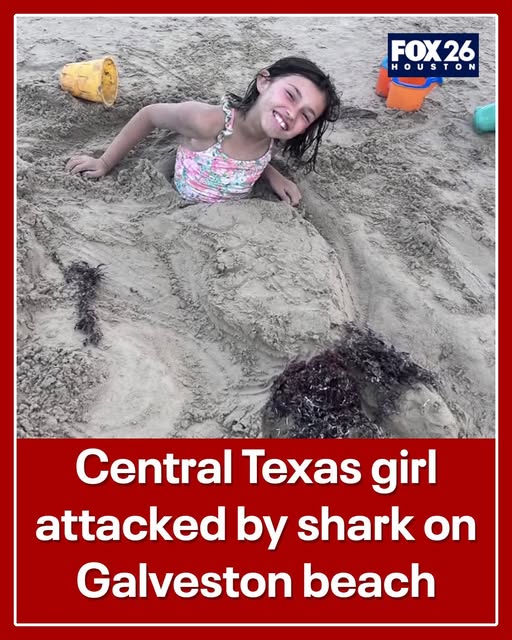 8-Year-Old Girl Injured in Shark Bite on Galveston Beach